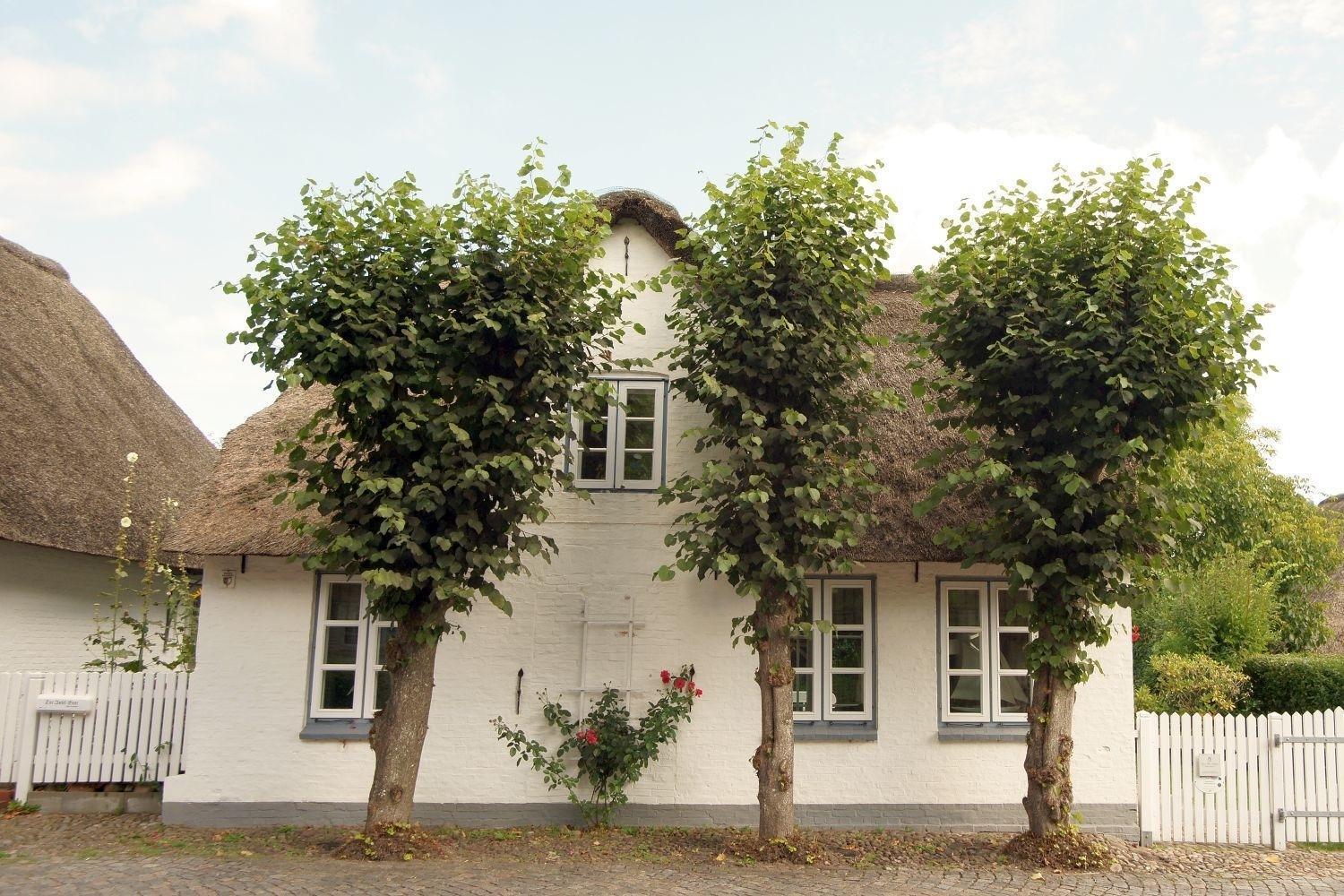 Witje Hues Villa Boldixum Luaran gambar